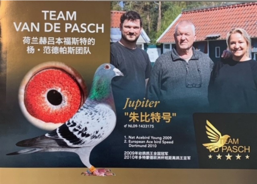 荷兰 杨.凡德帕斯团队 (下)